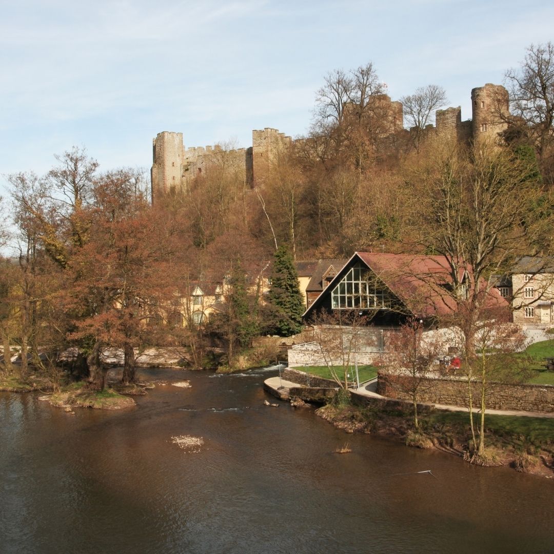 VISIT THE BLACK COUNTRY. ⛓️

Lots of excursions to choose from, including Severn Valley Railway, Ironbridge, Dudley and Ludlow Castle, Dudley Zoo and MUCH MORE!

Stay in a hotel of your choice, rates available upon request.

#InterChoiceHolidays