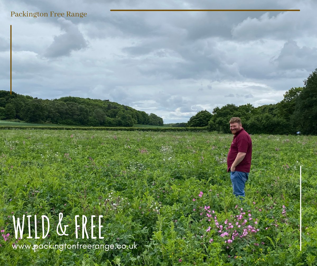 PackingtonFR's tweet photo. Free-range goes beyond the meat we eat when you choose free-range you're supporting conservation efforts too
At our farms, we go the extra mile to create wild flower meadows, plant trees & maintain hedgerows
#FreeRange #Conservation #Biodiversity #HappyAndHealthy #Packington https://t.co/gNTk6Ck9qQ