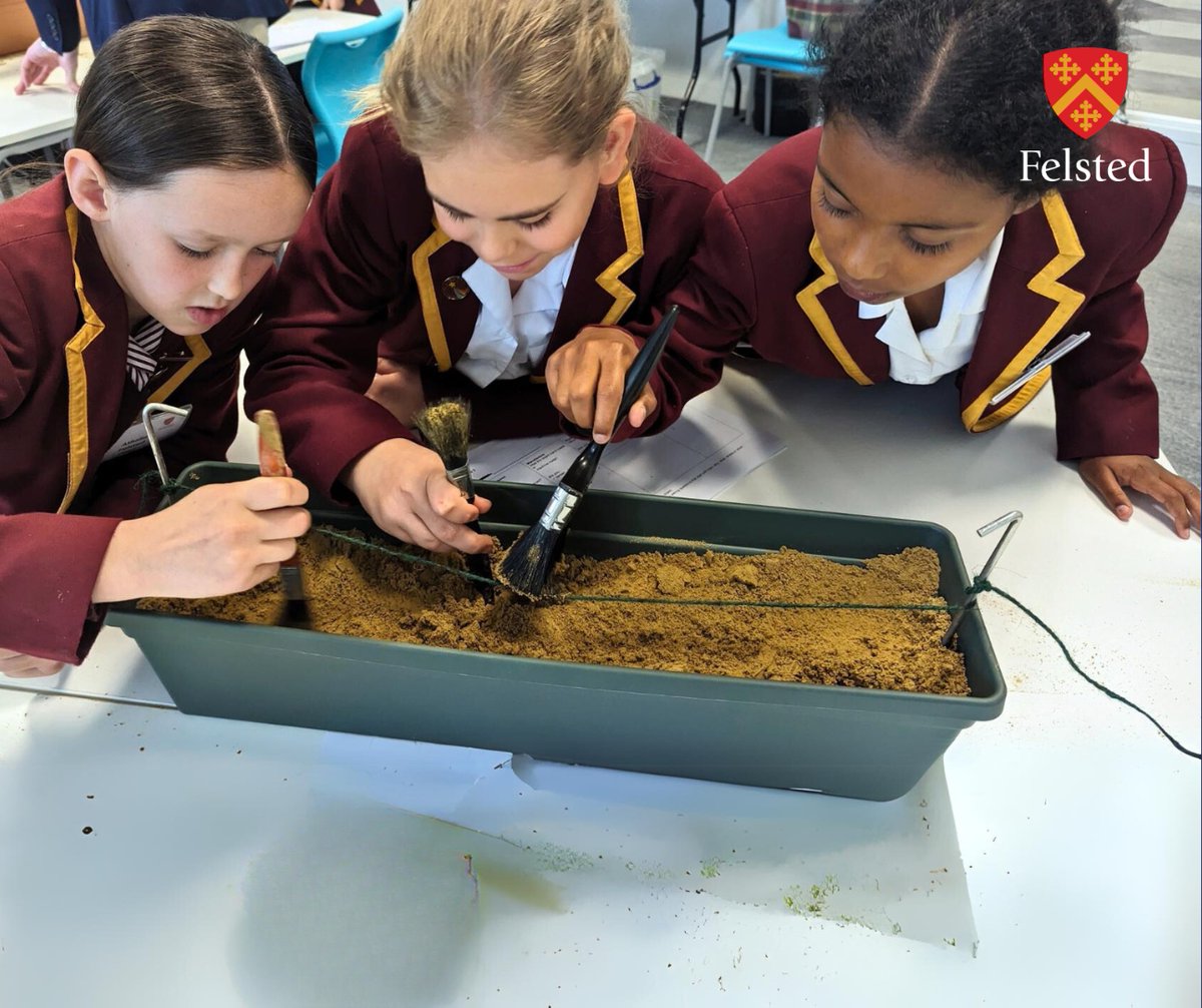 FelstedSchool's tweet image. 🛡️⚔️It was a joy to invite local Yr 5 pupils to discover the ancient world at our first ever @ClassicsFelsted Experience Day! They unearthed Roman artefacts, learnt the Latin behind Harry Potter’s spells &amp;amp; met a Greek soldier! Read more: bit.ly/Felsted-Classi…
#FelstedAdventure