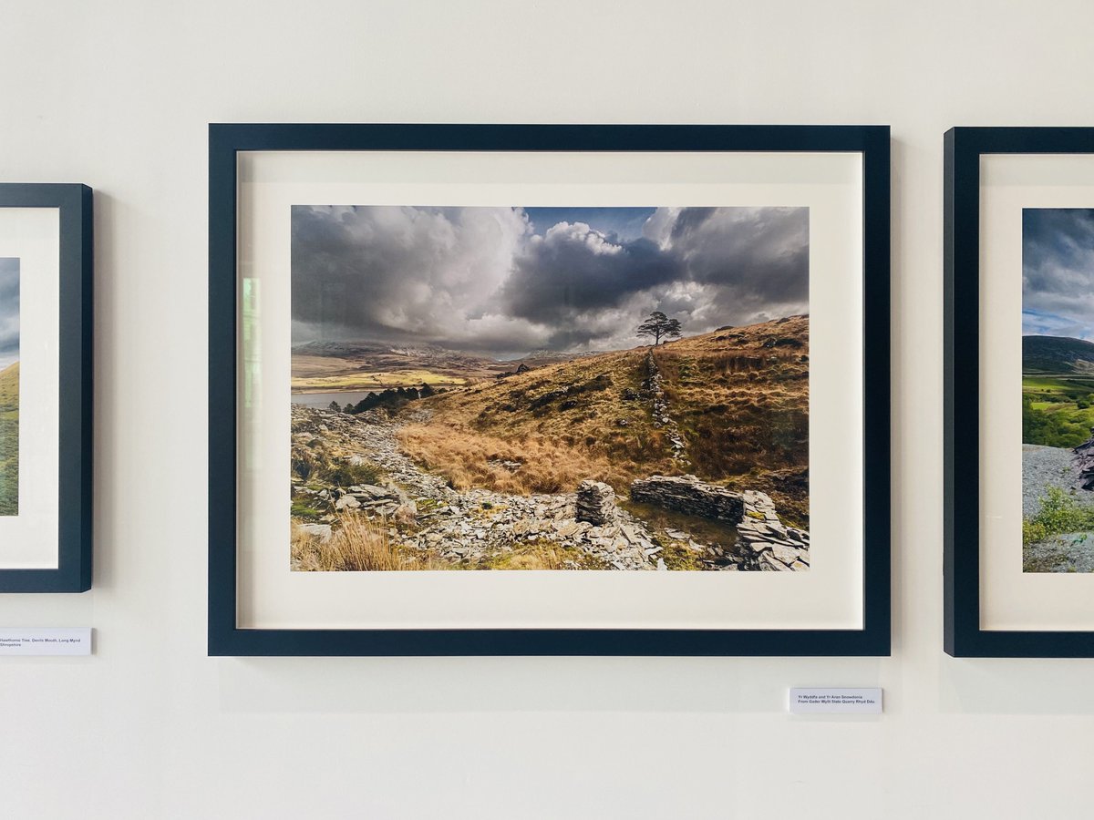 103ColmoreRow tweet media