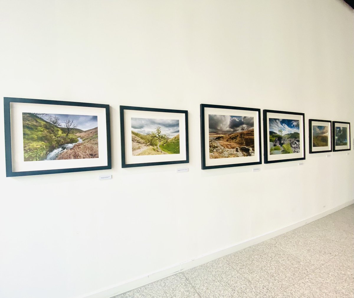 103ColmoreRow tweet media