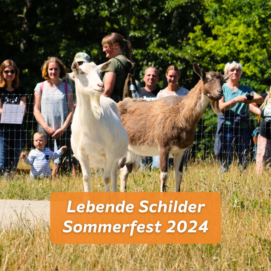 Beim Sommerfest im #landdertiere am 21.7. wird es wie bei allen größeren Veranstaltungen keine Führungen zu den Tieren geben. Stattdessen findet ihr bei den Schweinen, Schafen, Ziegen, Hühnern, Puten, Kaninchen &amp; Schildkröten unsere „lebenden Schilder“. ➡️ land-der-tiere.de/sommerfest-202…