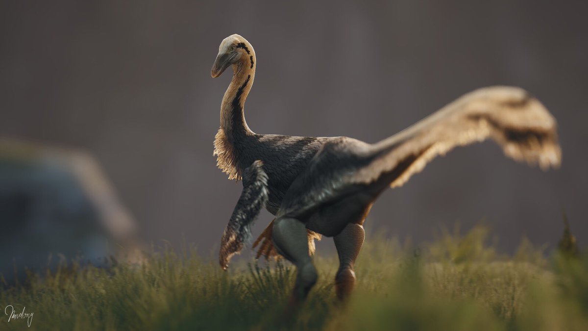 mid0riy_'s tweet photo. struthiomimus
#pathoftitans #dinosaurs #dinosaurgame https://t.co/zapz6GexJ9