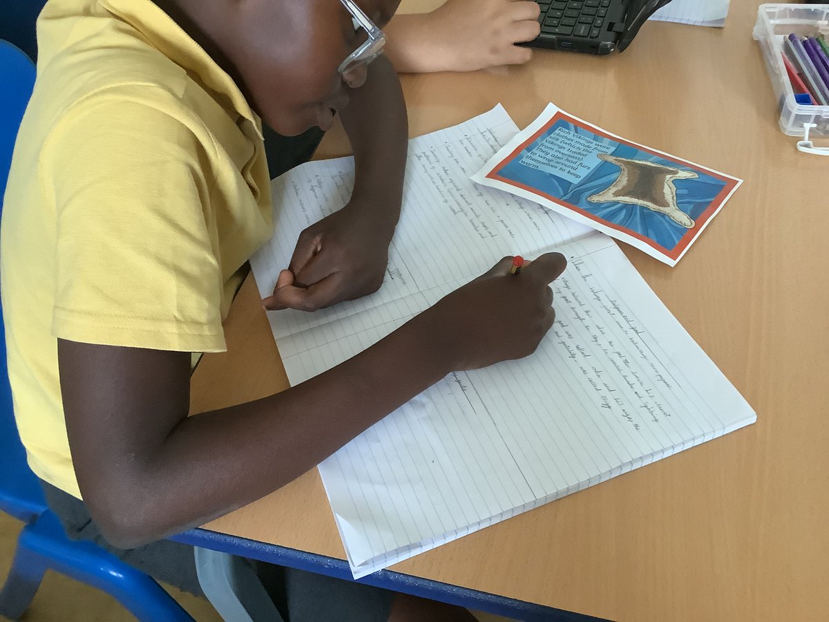 Maple Year 5 tweet media