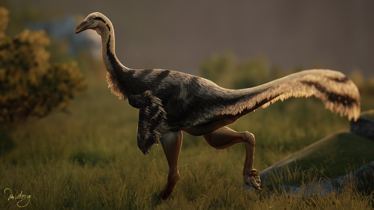 mid0riy_'s tweet photo. struthiomimus
#pathoftitans #dinosaurs #dinosaurgame https://t.co/qjExUGb5Sh