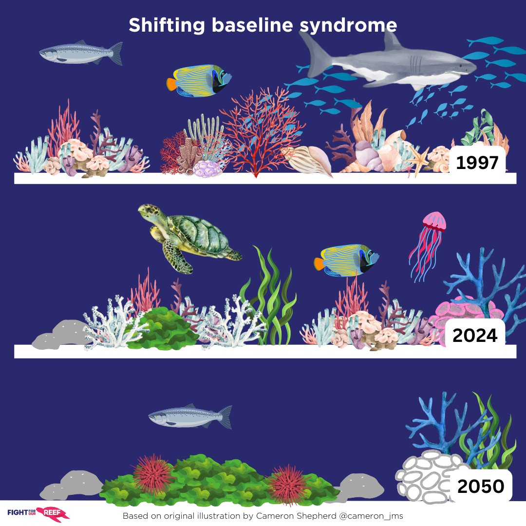 Shifting baseline syndrome describes the gradual change in our accepted norms and expectations for our environment across generations. If we don’t cut climate pollution now &amp; hard enough our reef will face increasing heat-driven mass bleachings until...