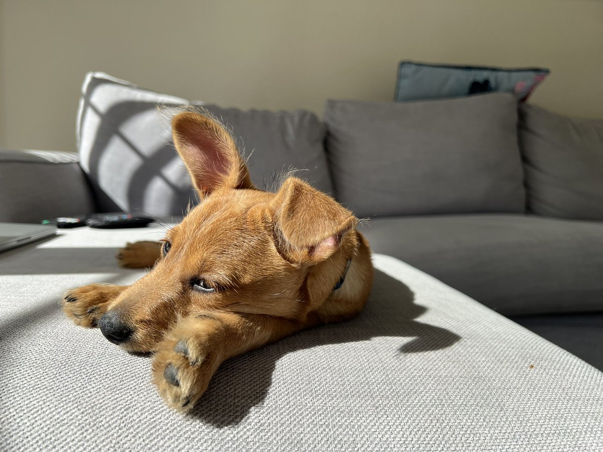 Jayne McCormack tweet media