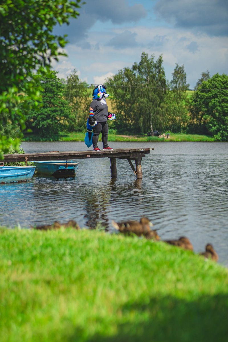 Enjoying serenity of the lake #česfur #cesfur2024

🔵:<a href="/_avafur_/">AvA</a> ❤️❤️❤️
🪡:<a href="/_avafur_/">AvA</a>