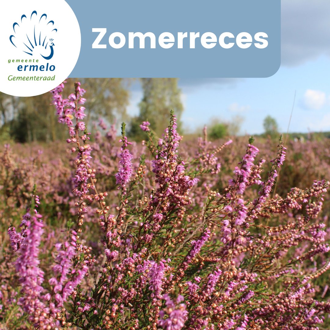 Raad van Ermelo tweet media