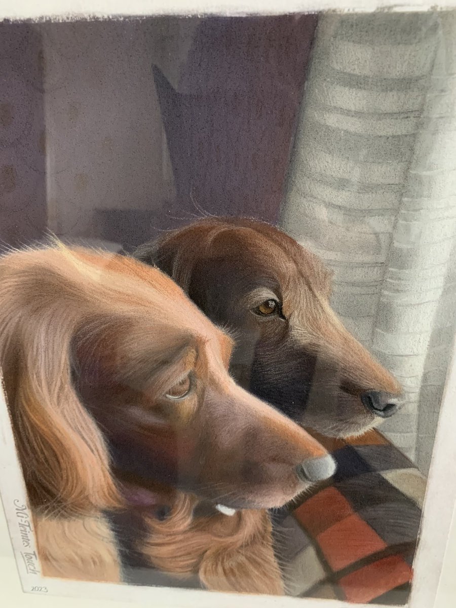 Sain lahjaksi ihanan piirrostaulun edesmenneistä punanutuistani, Sissistä ja Zeldasta 💕 Zelda 💖 menehtyi 30.11.23 ja Sissi 💖 pari kuukautta  myöhemmin 29.1.24. Ikävä ja kaipaus ovat ikuisia. Onneksi on muistot 🤗