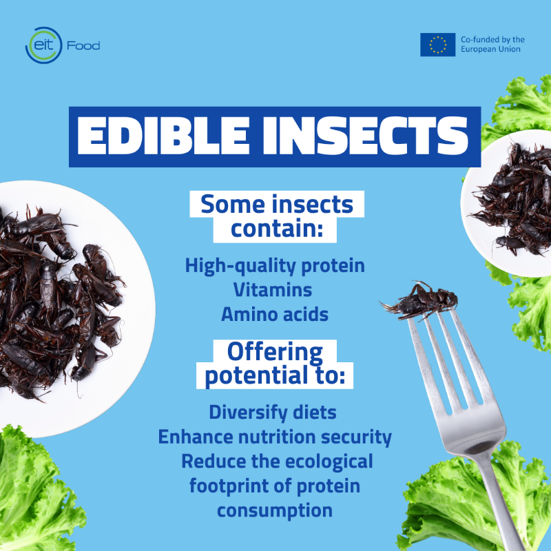 EITFood's tweet photo. As we strive for healthier and more #SustainableFood, the introduction of new foods could be key to creating a future-fit #FoodSystem. 👇

Could these novel foods be Europe's #FutureOfFood? 🦗🥩🌿

More: https://t.co/EslCj0OHaj

#ImprovingFoodTogether #ProteinDiversification