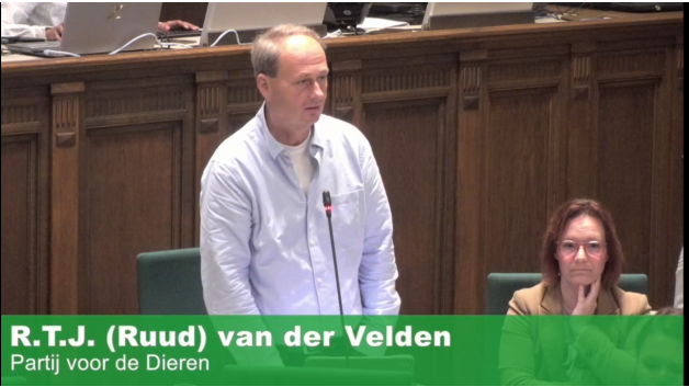 De PVDD in de Rotterdamse raad.