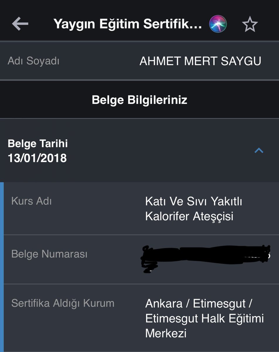 Ben katı ve sıvı yakıtlı kalorifer ateşçisiydim de bir sende yandım.