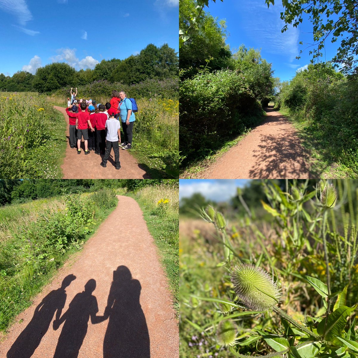MrsH_primary's tweet photo. A wonderful last walk for year 1 to the countryside park. We have witnessed the changing of the seasons this year and I have witnessed huge changes in these amazing children; so curious and aware of their environment. Feeling very privileged to have taught this class. https://t.co/x0lUirEeay
