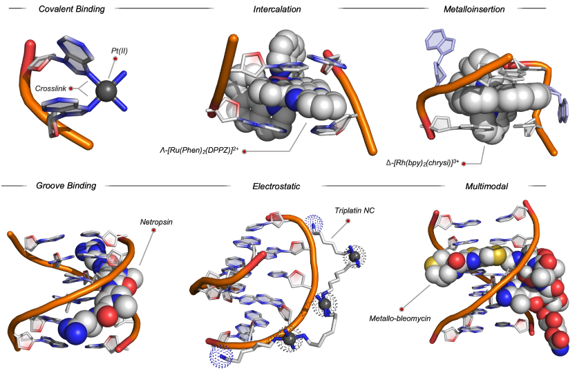 Andrew Kellett (@andrew_kellett) on Twitter photo Happy to share our <a href="/ChemEurJ/">Chemistry</a> review on 'Gene Editing with Artificial DNA Scissors' 🧬✂️ Congrats to <a href="/AlexGibney6/">Alex Gibney</a> <a href="/SSPCentre/">SSPC</a> <a href="/ETN_Nature/">NATURE-ETN</a> <a href="/IrishResearch/">We are now Research Ireland</a> <a href="/DCUChemistry/">DCU School of Chemical Sciences</a> <a href="/DCU_Research/">DCU Research</a> @scienceirel (Open Access 🔓) doi.org/10.1002/chem.2… Happy to share our <a href="/ChemEurJ/">Chemistry</a> review on 'Gene Editing with Artificial DNA Scissors' 🧬✂️ Congrats to <a href="/AlexGibney6/">Alex Gibney</a> <a href="/SSPCentre/">SSPC</a> <a href="/ETN_Nature/">NATURE-ETN</a> <a href="/IrishResearch/">We are now Research Ireland</a> <a href="/DCUChemistry/">DCU School of Chemical Sciences</a> <a href="/DCU_Research/">DCU Research</a> @scienceirel (Open Access 🔓) doi.org/10.1002/chem.2…
