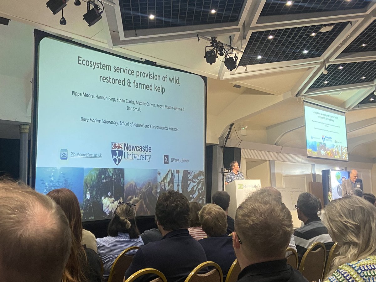 robynmastinwynn's tweet photo. Delayed but needed shout out to @Pippa_J_Moore for representing our research at ReMeMaRe Conference 2024! 🤿🌊

@StrongerShores @newcastlemarine @ecology_ncl @NCLDoveMarine #ReMeMaRe https://t.co/O3LPBgd9jM