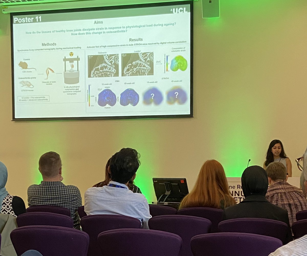 Two fab pitches by <a href="/dr_aikta/">Dr Aikta Sharma</a> and Lucinda on our work in the Str/ort mouse looking at joint biomechanics and anatomical features with osteoarthritis - come visit them at posters 9 &amp; 11 to find out more. #BRS2024 #BioGrOA <a href="/BoneResearchSoc/">BRS</a>