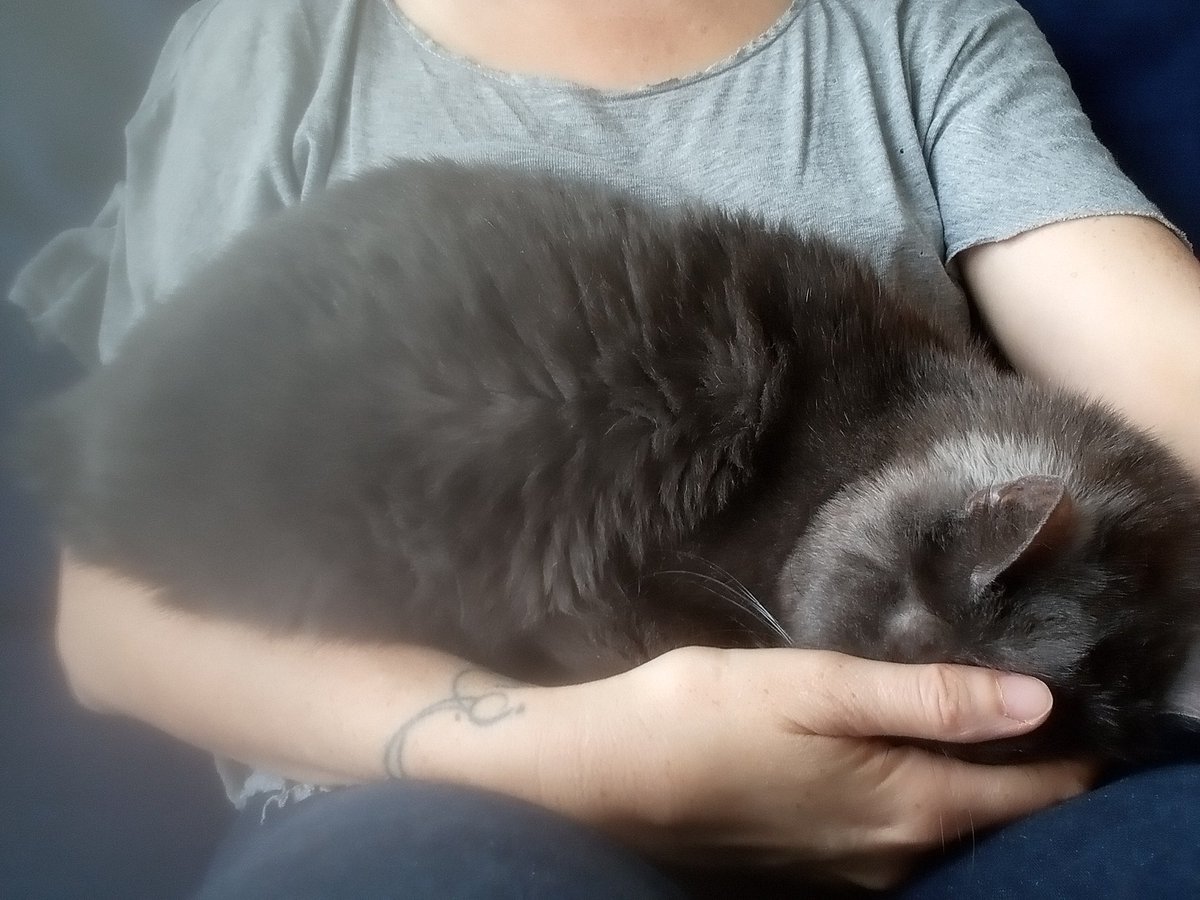 Maman Rodarde tweet media