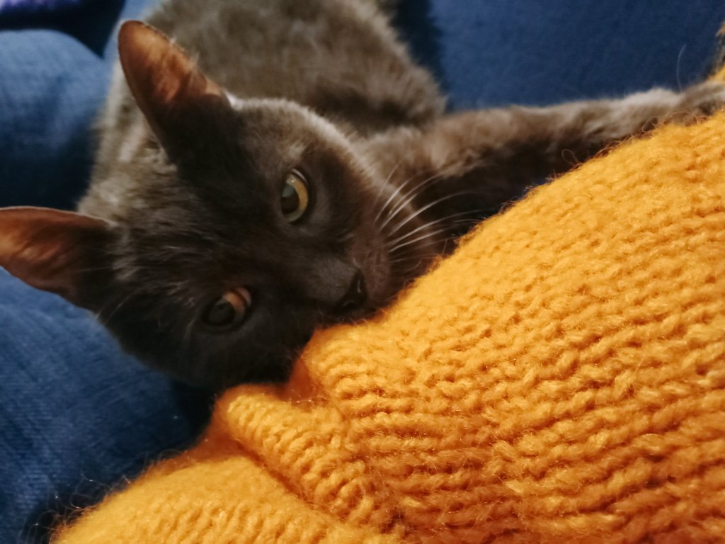 Maman Rodarde tweet media