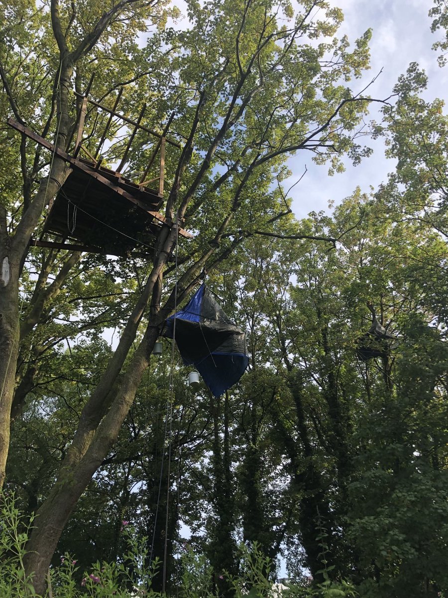 wsa_buendnis's tweet photo. Mit der #Waldbesetzung schließen sich die Aktivist*innen dem Kampf der Anwohnenden an: Die autonome Zone soll die Wondelmeersen vor der #Rodung und Zerstörung bewahren und ihre Unberührtheit erhalten. Wenn Profitinteressen drängen und Politik versagt, hilft nur direkte Aktion! https://t.co/YZCmO8JJ4C
