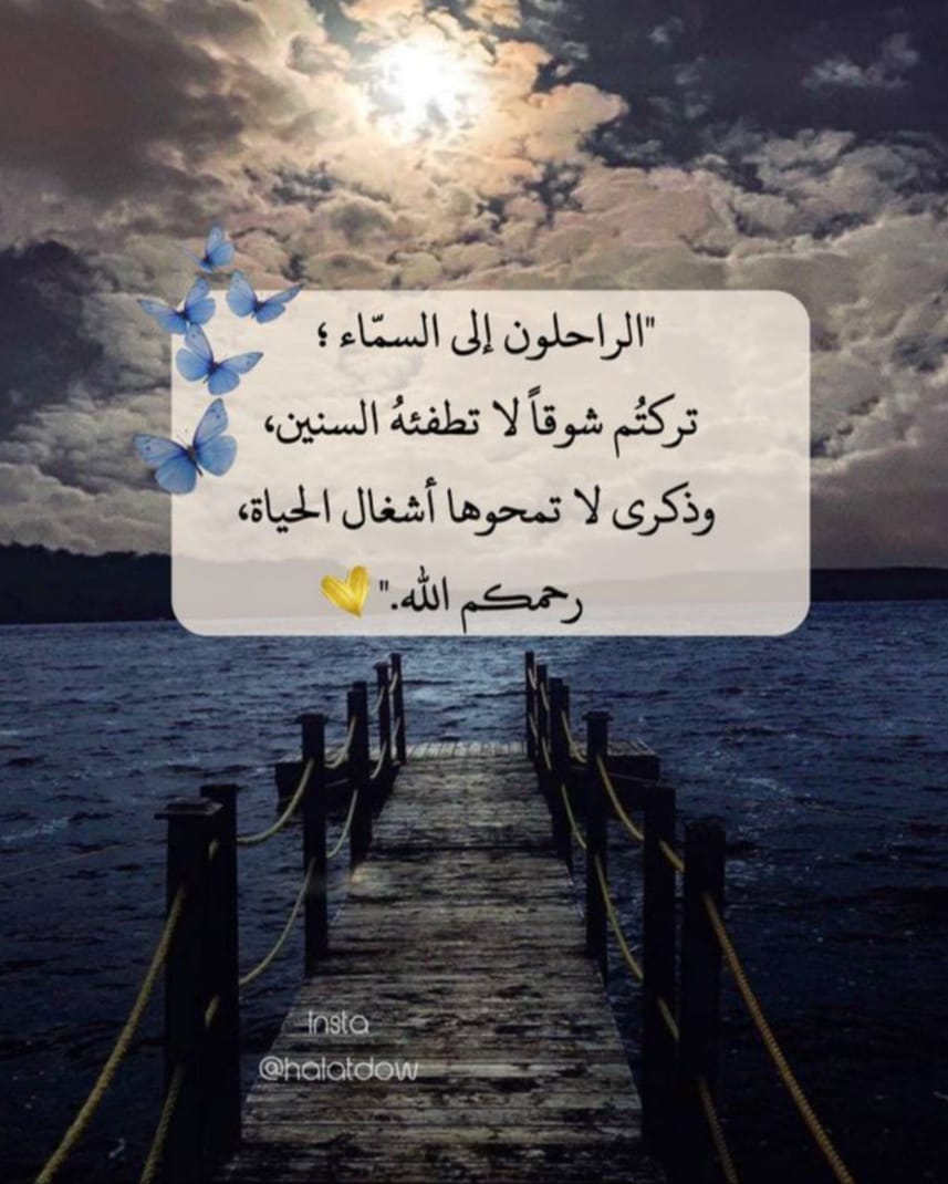 محمد العجالين tweet media