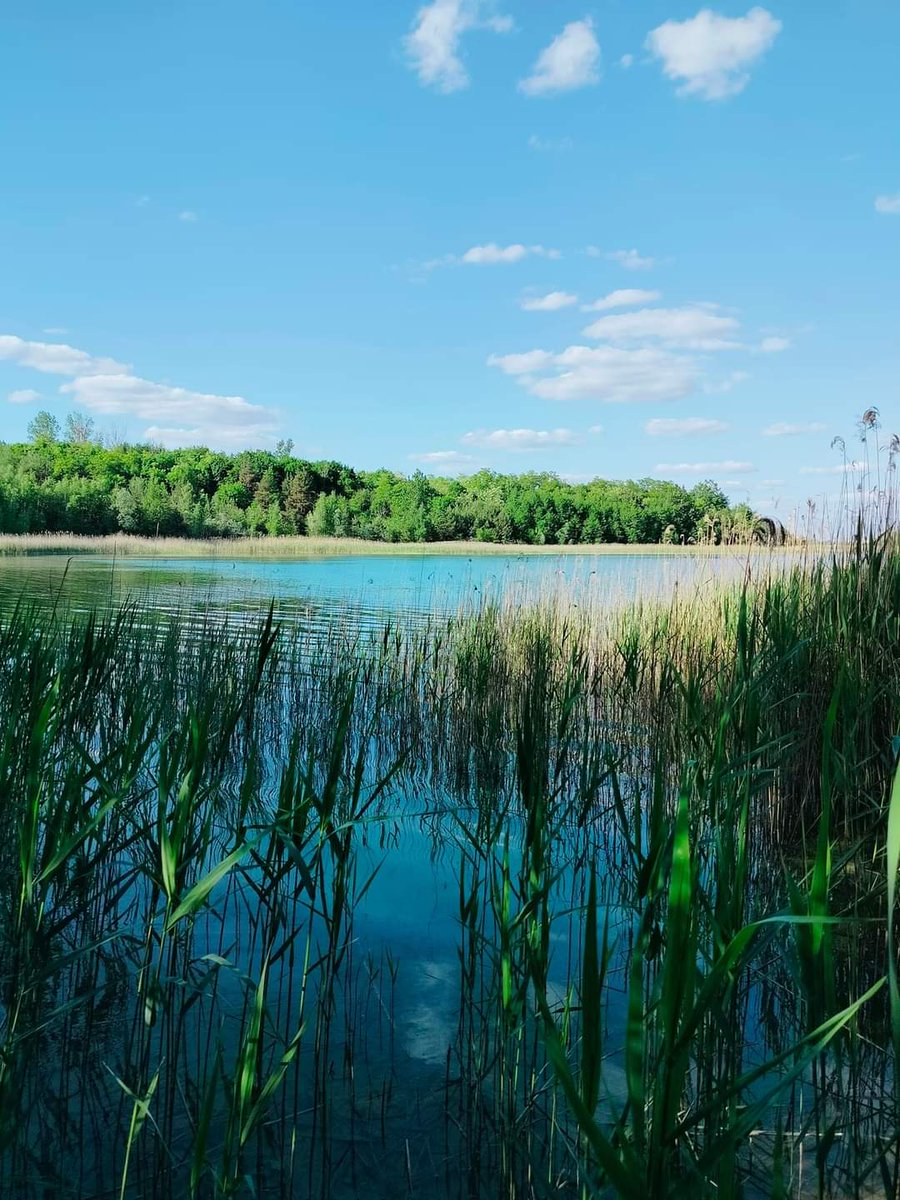 TLeoni311's tweet photo. Turquoise lake, Poland 🇵🇱🩵 https://t.co/Fi5yi4S96e