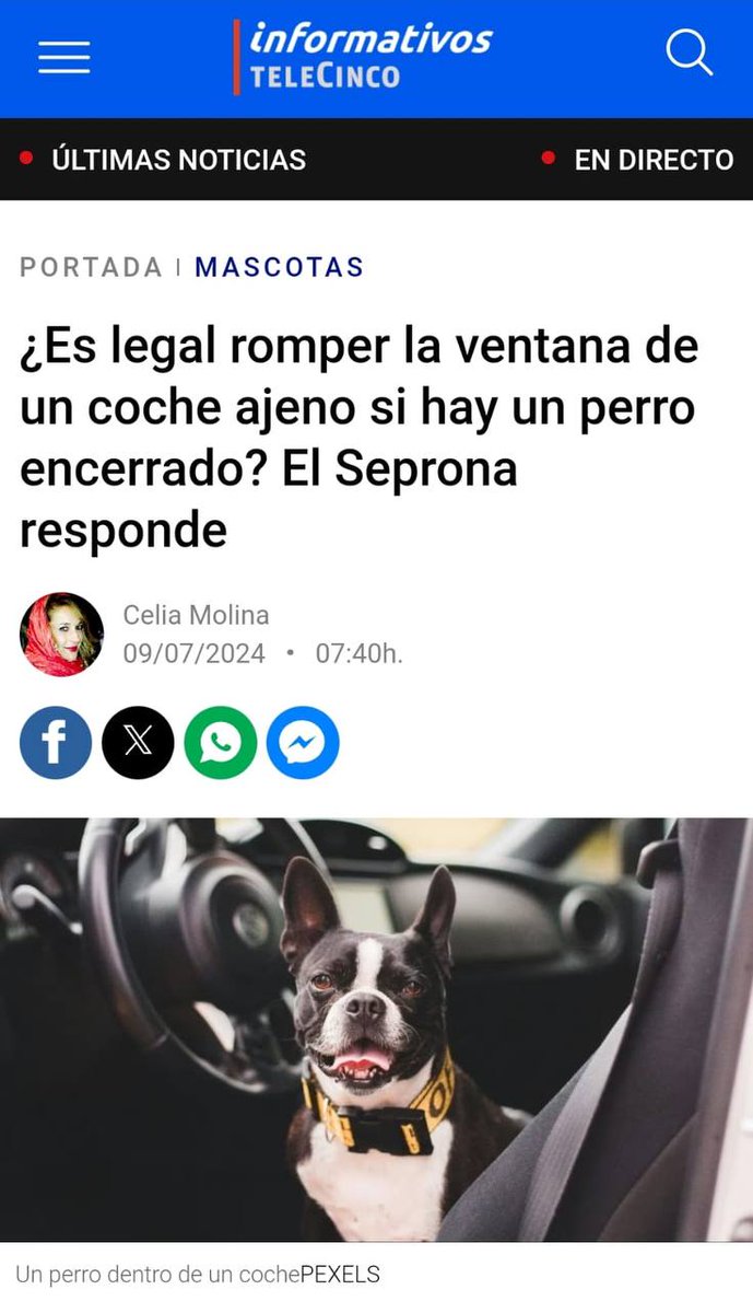 PartidoPACMA's tweet photo. Si te encuentras a un animal encerrado en un coche, con calor y sin agua, ¿cómo actuarías?
Podría morir en cuestión de minutos.

Según Seprona, si no se localiza al dueño, hay que romper el cristal para salvarlo, y poner una denuncia por #MaltratoAnimal.

Actúa de inmediato. https://t.co/twOxRX5EGV