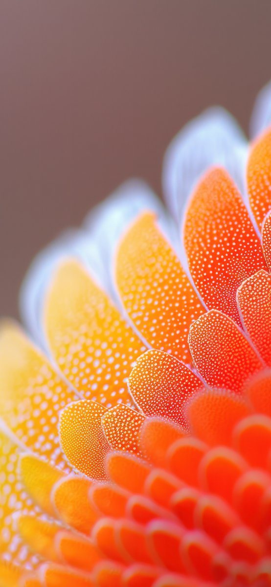 antoniiio90's tweet image. A close-up of nature's wonders, perfect for a wallpaper 🫧🪸
#ios #androidcommunity