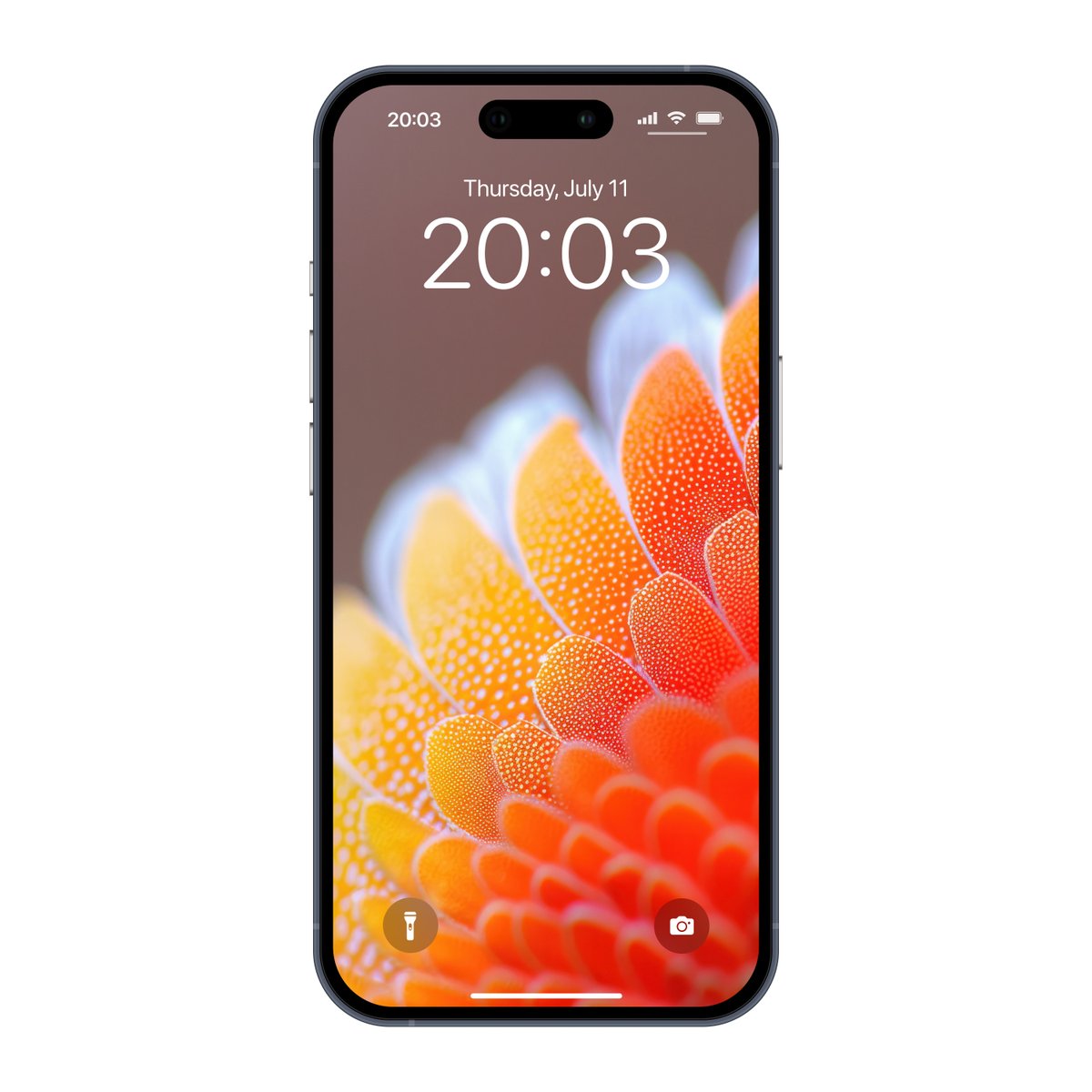 antoniiio90's tweet image. A close-up of nature's wonders, perfect for a wallpaper 🫧🪸
#ios #androidcommunity