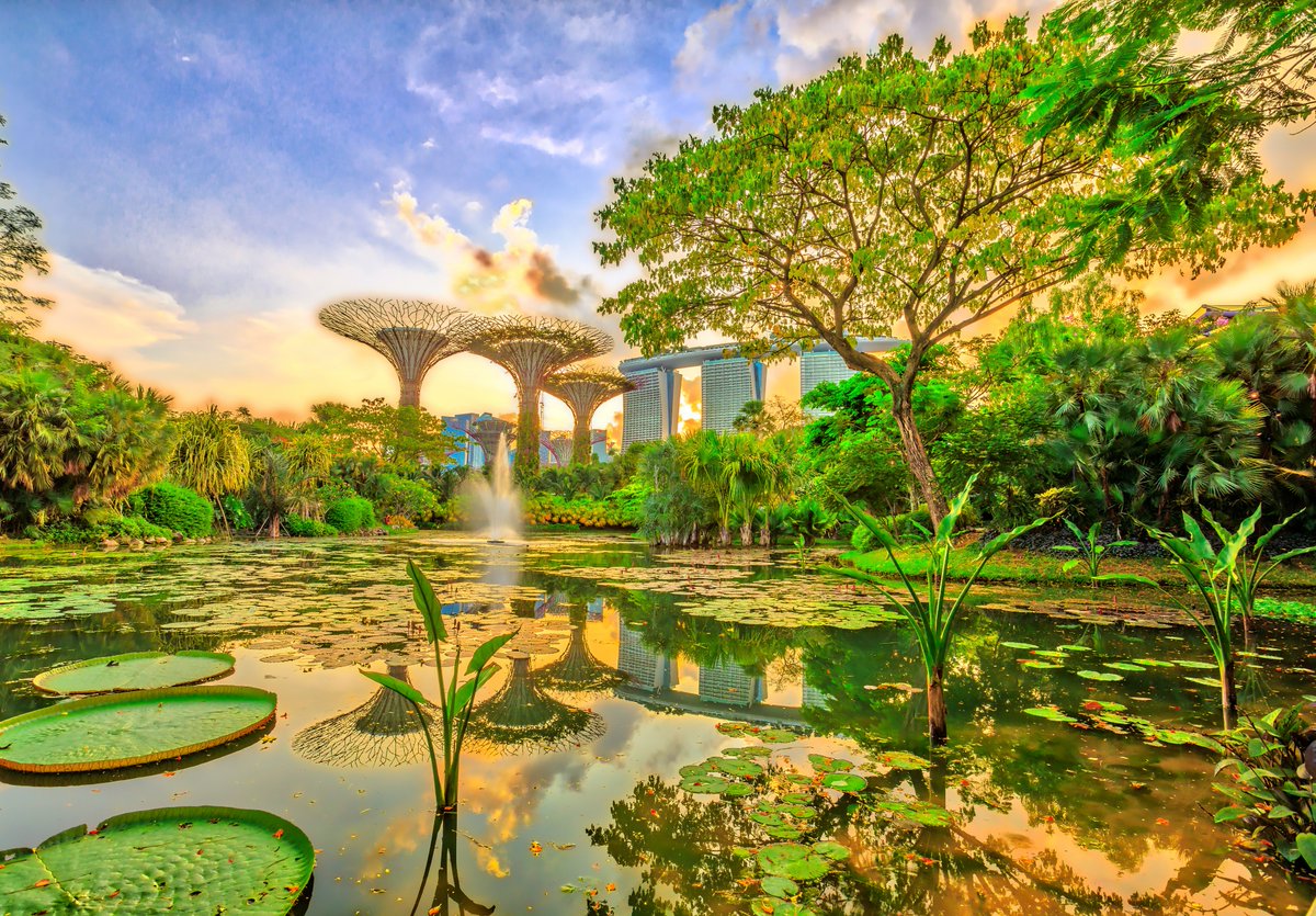 All taxpaying companies in Singapore will receive SGD2000 in cash payout if they have employed at least one local employee in 2023, whether or not the company was a tax resident. 
bit.ly/3XKJB7b
#SingaporeCompanies
#DoingBusinessInSingapore
#Singapore
#FactsForForeigners