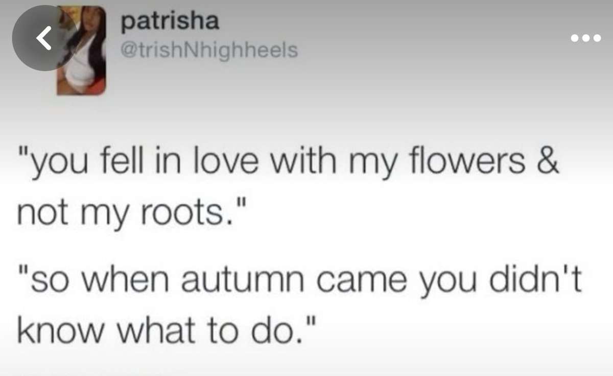 🍂 tweet media