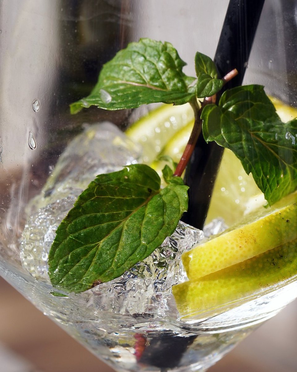Happy World Mojito Day! 🌏 Why not try our twist using Greenall's London Dry Gin instead of Rum? 🍸

#GreenallsGin #WorldMojitoDay #Gin #GreenallsMojito #DropofGreatness