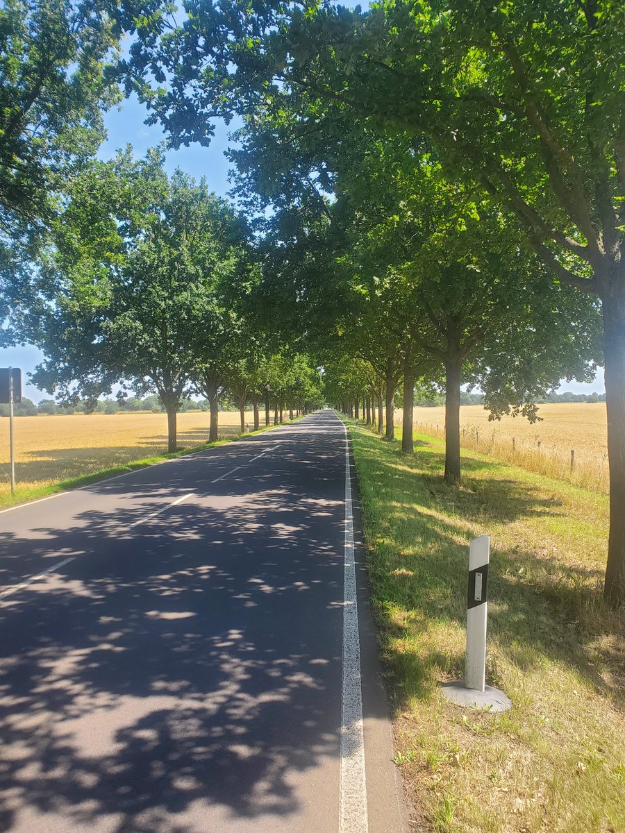 Hat eigentlich schon mal jemand gemerkt, wie unsäglich ANGENEHM es ist, wenn man bei einer Radtour in glühender Hitze durch eine Allee fährt?
#fahrradalltag