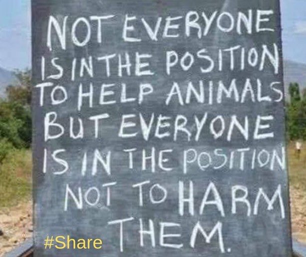 Harrie Ⓥ (@harriest) on Twitter photo 