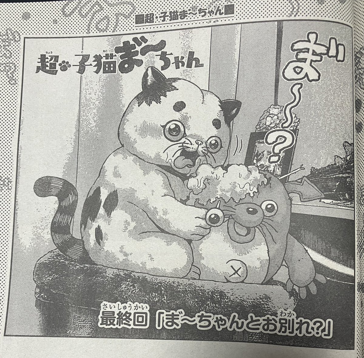 本日発売の週刊少年チャンピオンに『超・子猫 ま゛〜ちゃん』の最終話が掲載されています。短期連載ならではの見開きに注目です。よろしくお願いします!あと読んでいただきありがとうございました!