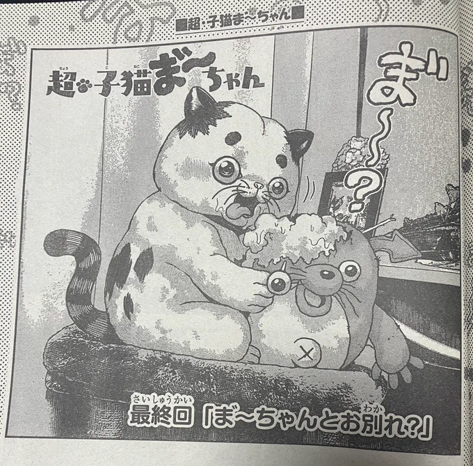 本日発売の週刊少年チャンピオンに『超・子猫 ま゛〜ちゃん』の最終話が掲載されています。短期連載ならではの見開きに注目です。よろしくお願いします!あと読んでいただきありがとうございました!