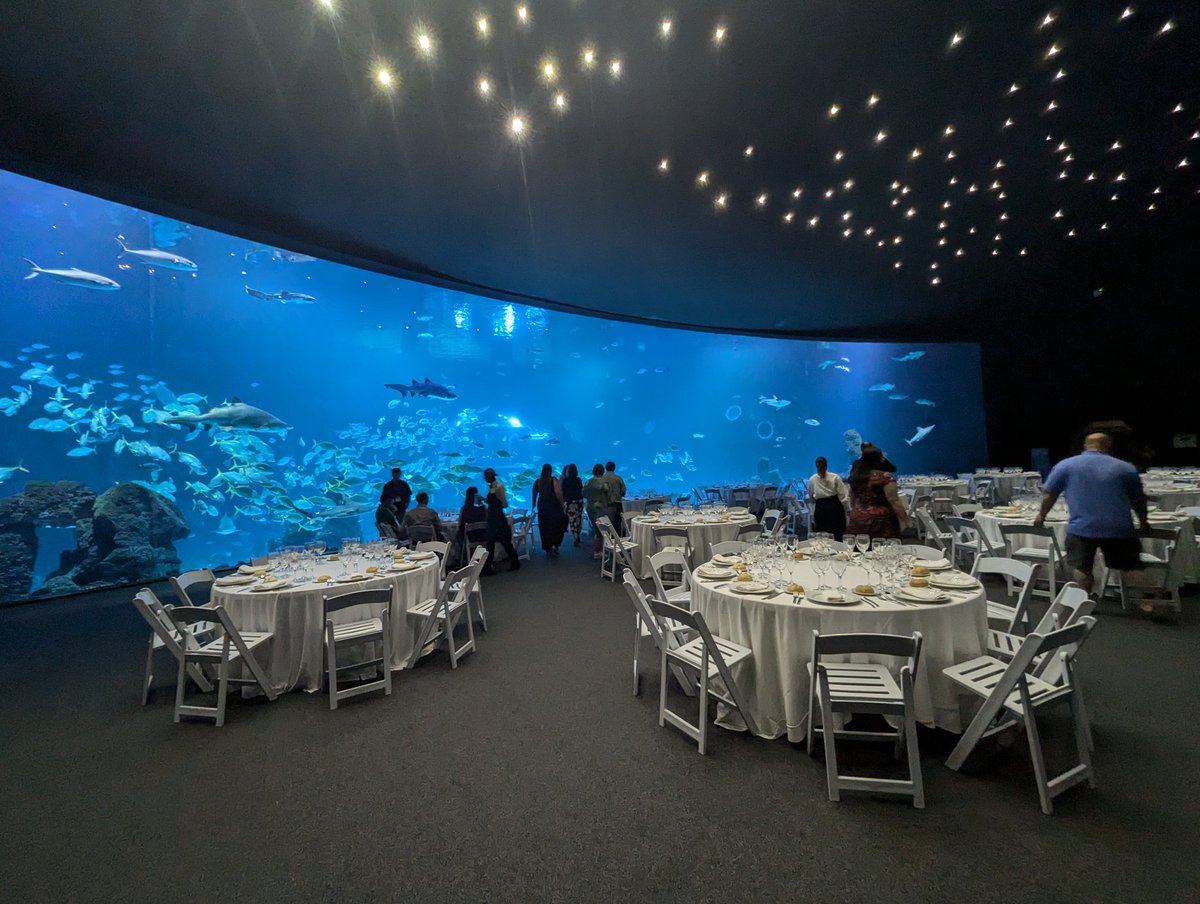 Chih-Horng Kuo (郭志鴻) (@chihhorngkuo) on Twitter photo Gala dinner at Poema de Mar Aquarium. Interesting experience to have sharks watching while you eat 😉
<a href="/IOM_network/">International Organization for Mycoplasmology</a> #IOM2024 Gala dinner at Poema de Mar Aquarium. Interesting experience to have sharks watching while you eat 😉
<a href="/IOM_network/">International Organization for Mycoplasmology</a> #IOM2024