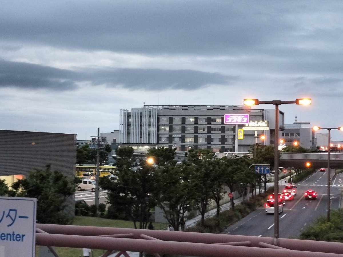 tsukamoto_PR's tweet photo. こんばんは。土曜日まで大阪・泉佐野です。関空降りてすぐの街ですが、ふと見たら「コスモス」あって、めっっっっちゃ安心しました。 https://t.co/HD4AfmriFx