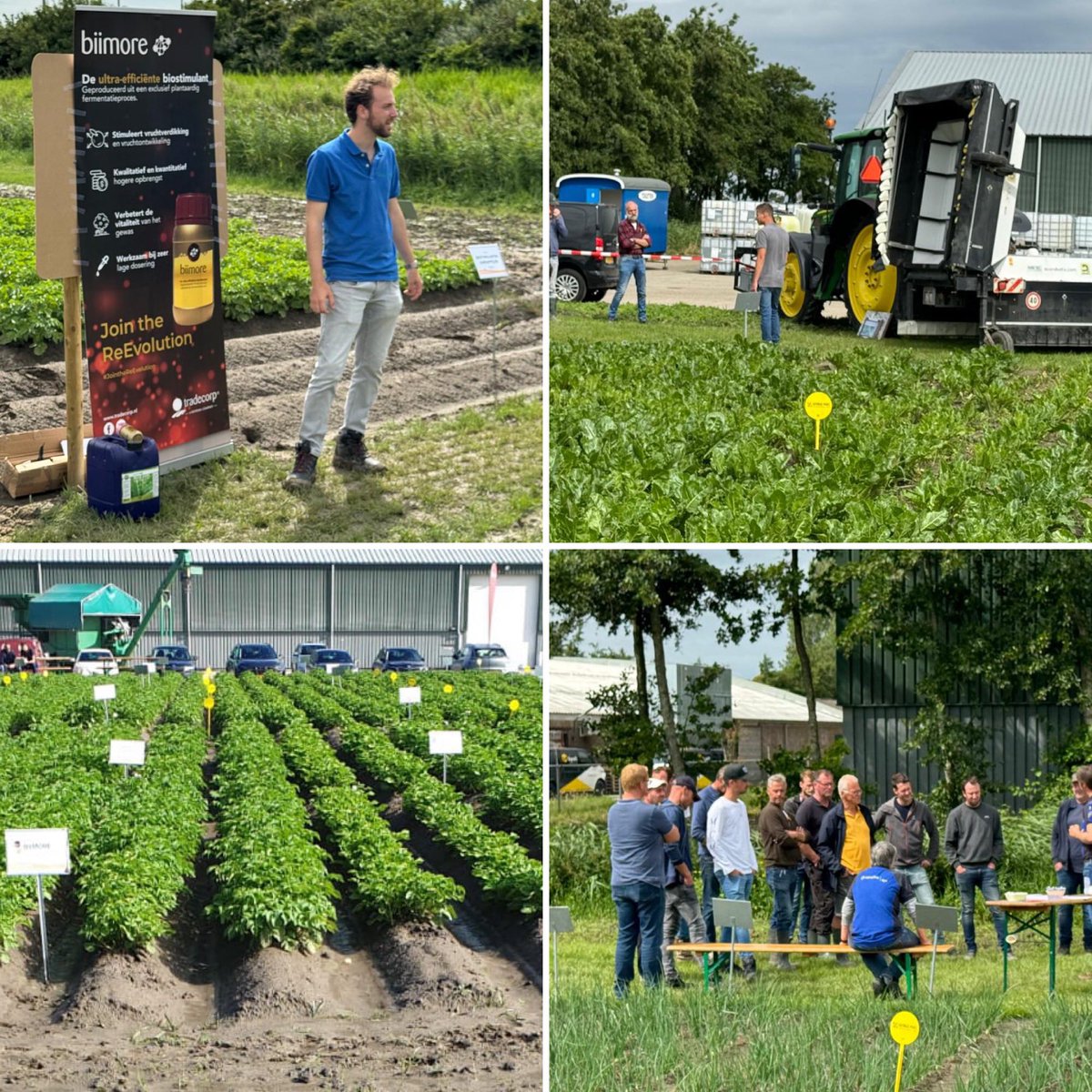 Holland_Fyto's tweet photo. Collega Matthijs geeft uitleg over biostimulanten #biimore en #AloeLeaf tijdens de jaarlijkse veldbijeenkomst van George Pars Graanhandel in St. Jacobiparochie #Kwaliteitbeweegtons #GeorgeParsGraanhandel https://t.co/nox6Lhalbv