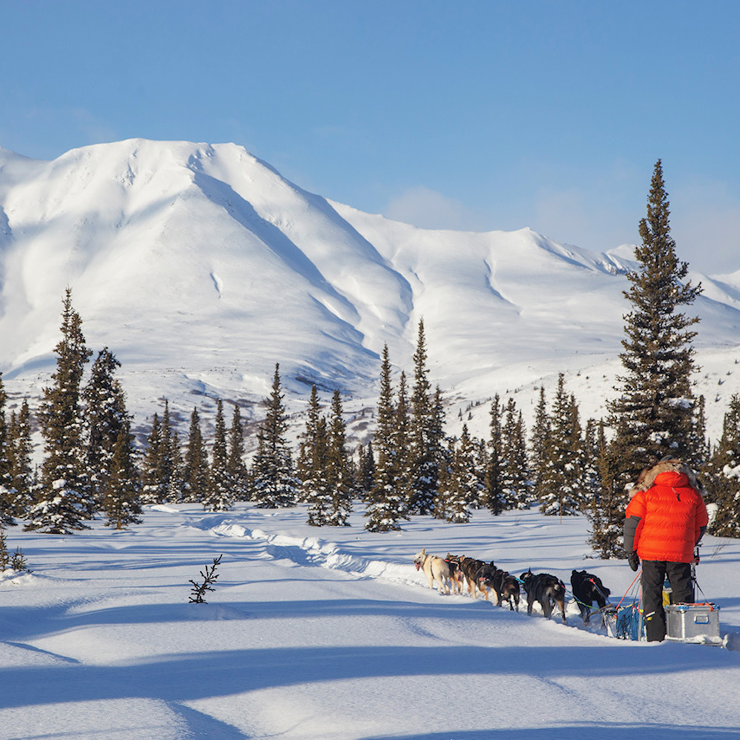 Nature_Travels's tweet photo. New dogsled tour! 🥳  Husky Expedition to the King's Trail in Lapland (Sweden) - A challenging dogsled tour through remote fjälls and along Kungsleden in Swedish Lapland 🛷🐺❄️

https://t.co/Culy1MymWq https://t.co/BTWcmxk2au
