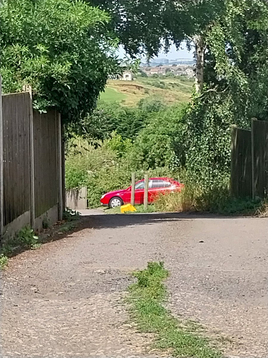 Pete Finch tweet media