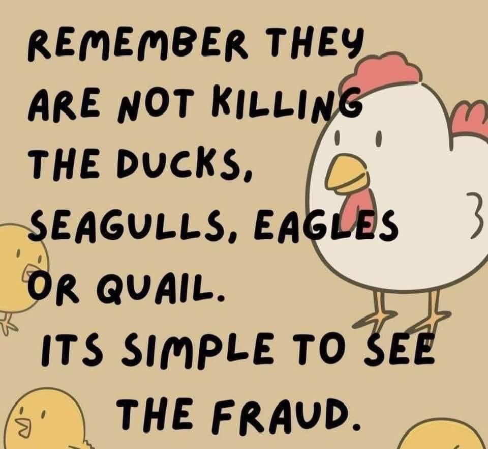 toobaffled's tweet photo. Does Bird flu only affect Chickens and Humans ❓❓❓ https://t.co/VcG9Z6LiYu