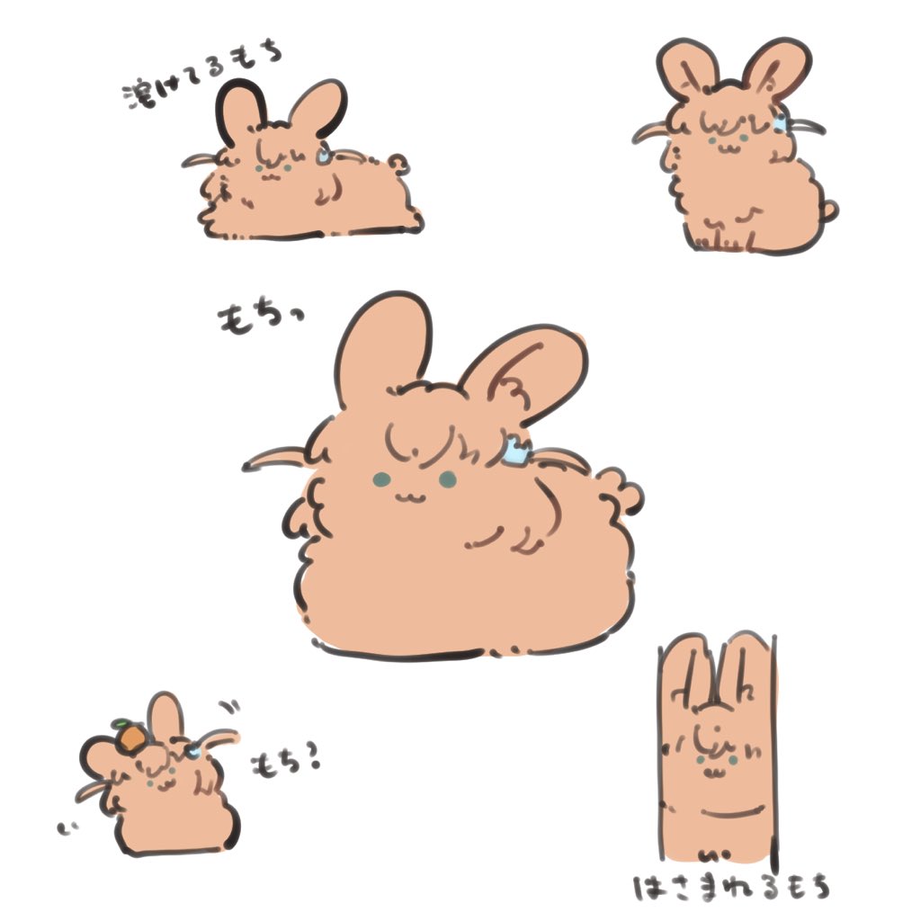 もち 