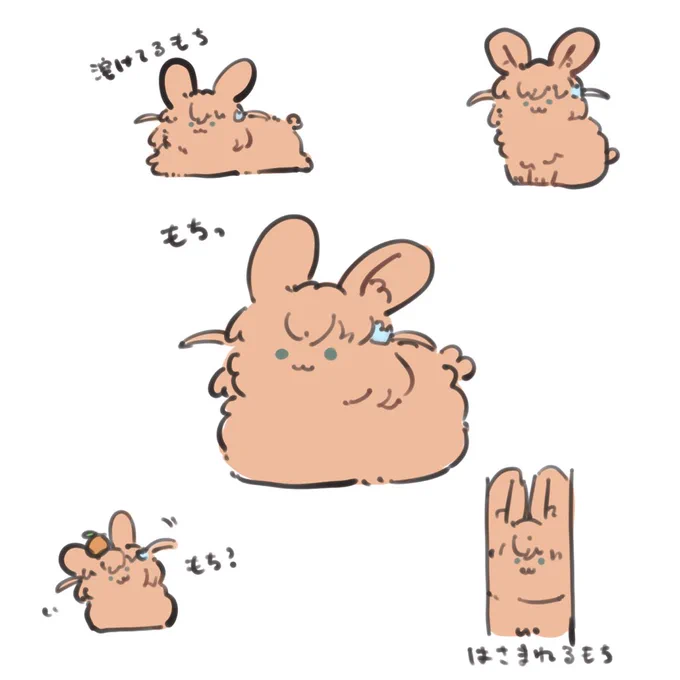 もち 
