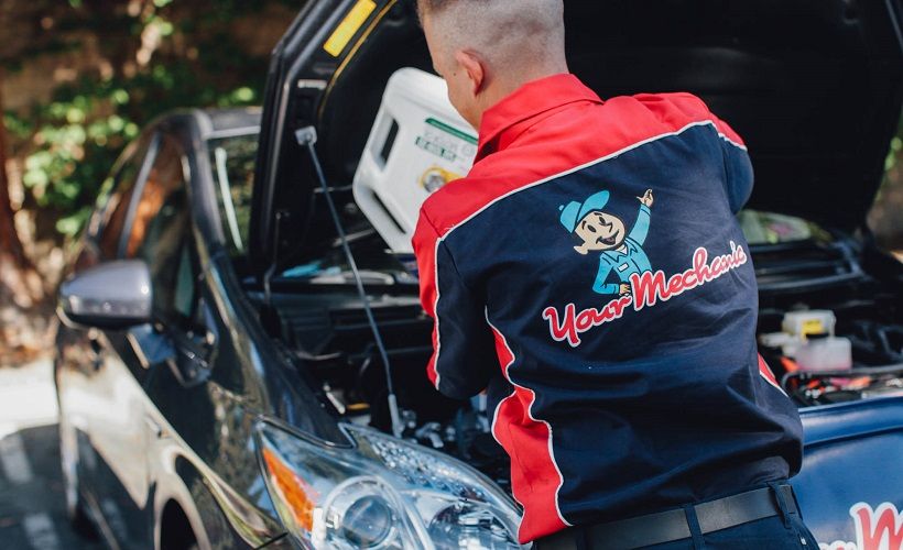 Business Fleet tweet media