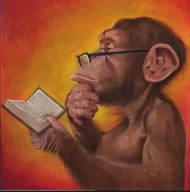 Otavio Marques tweet media