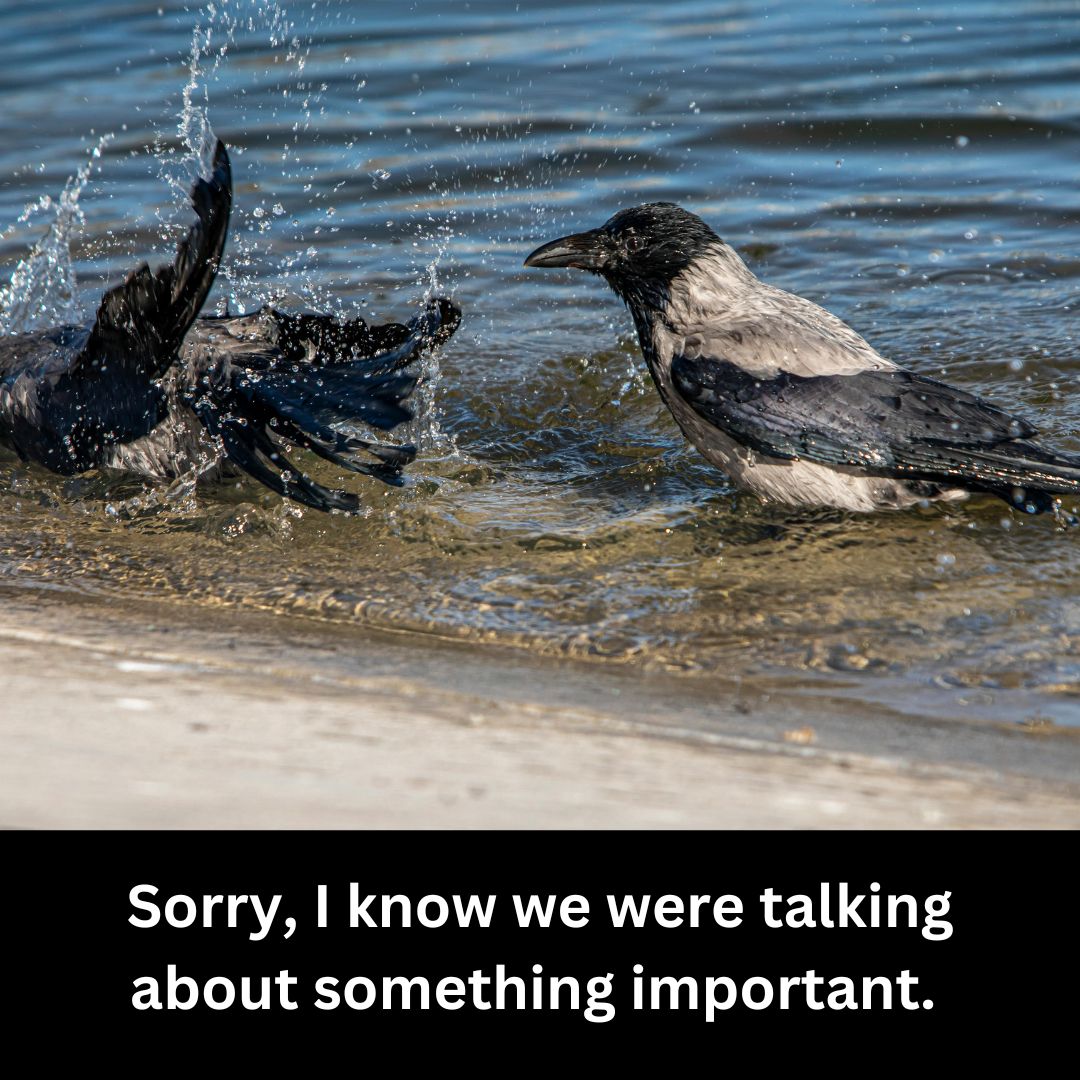 Creature Publishing tweet media