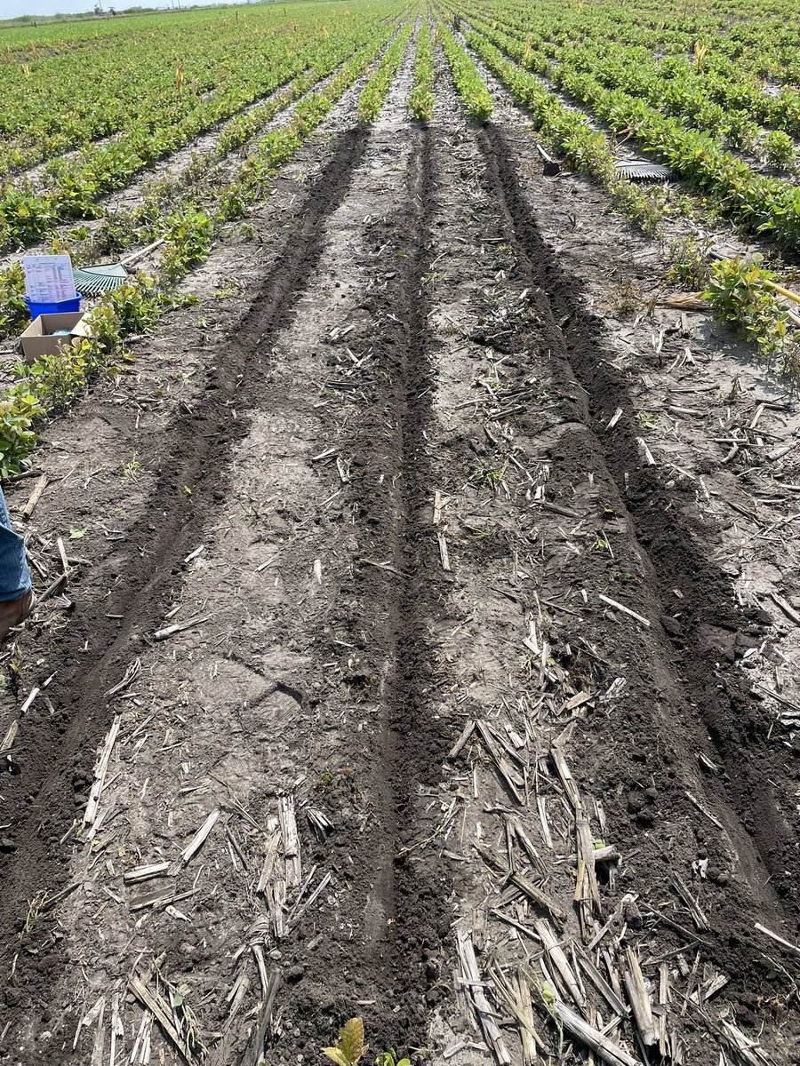 Josh Erwin CCA, CPAg tweet media