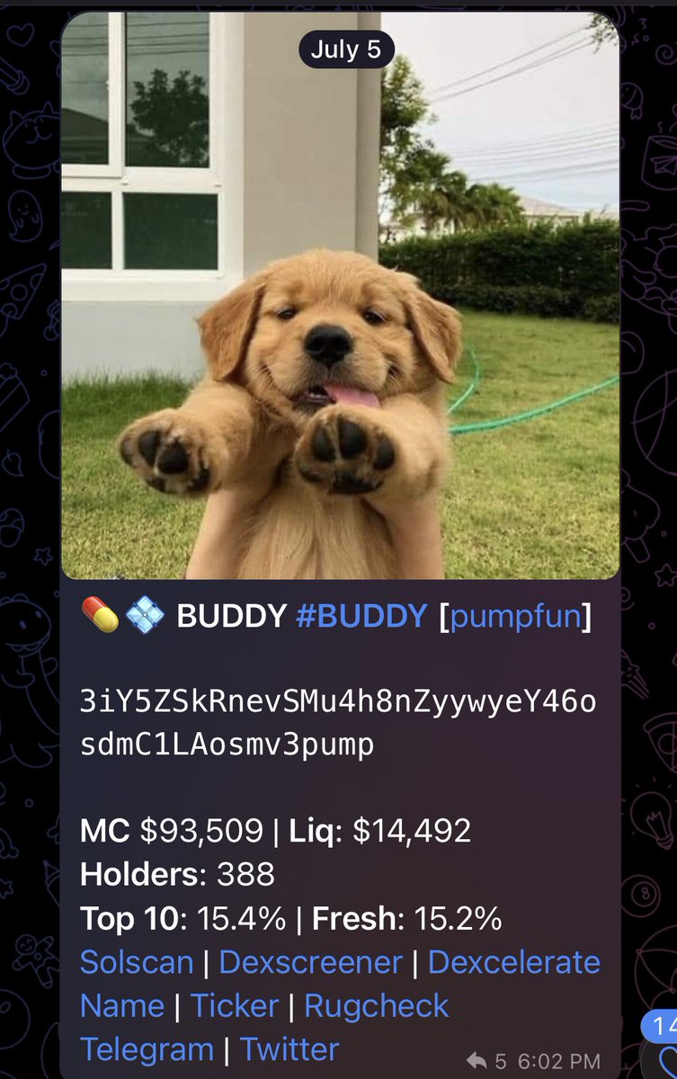 100xgemfinder's tweet photo. $BUDDY BUDDY

93.5k -> 5.6M

60x

One 100x, Seven 50x’s found by the bot this week, this has been the best one https://t.co/gV5hieRKrk