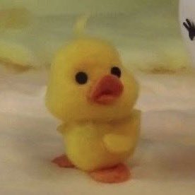 me_a_Chan's tweet photo. 🐤🧡
#First1stTimeMiniConcert
#First_Chalongrat
#รักแรกของเฟริสท์ https://t.co/yfVirvFFaT